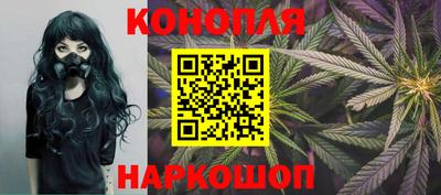 хмурый Кингисепп