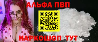 хмурый Кингисепп
