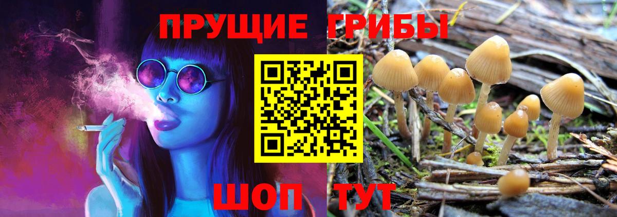 Галлюциногенные грибы мухоморы  Вход с VPN  Конаково 